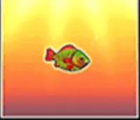 Small Fish